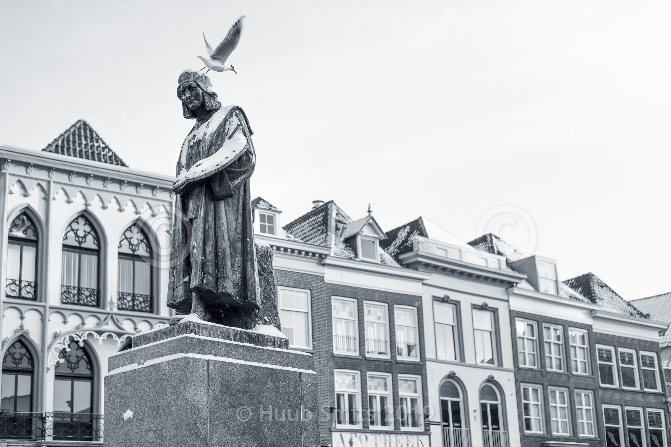 duif Jeroen Bosch | cityscapes Den Bosch / 's-hertogenbosch