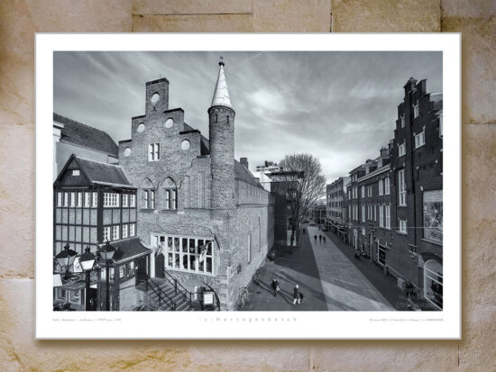 poster Den Bosch | de Moriaan | hoogtefoto