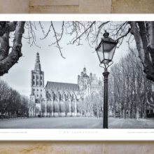 poster Den Bosch | Sint Janskathedraal | Parade