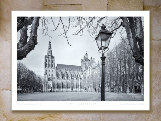 poster Den Bosch | Sint Janskathedraal | Parade