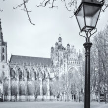 detail poster Den Bosch | Sint Janskathedraal | Parade