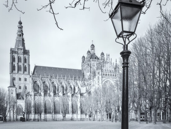 detail poster Den Bosch | Sint Janskathedraal | Parade