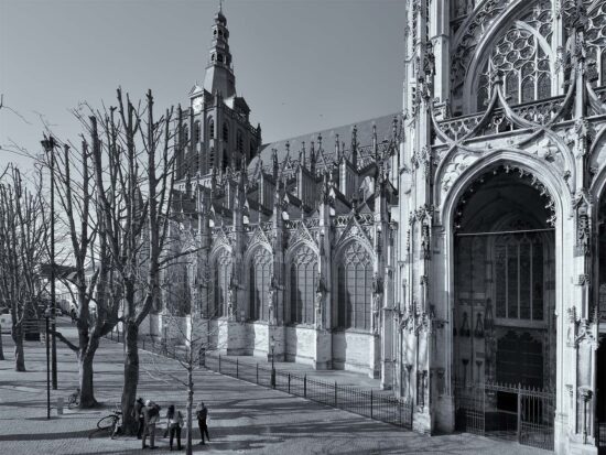 poster Den Bosch | Sint Janskathedraal | detail