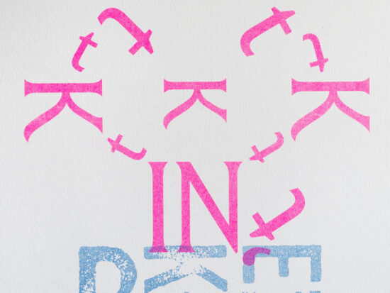 detail risoprint Kat in 't bakkie