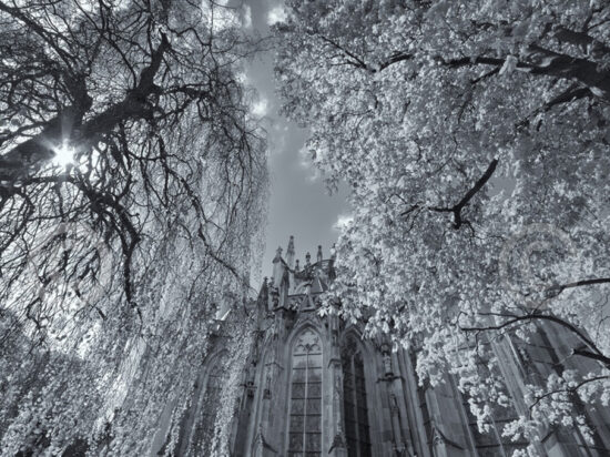 Sint-Jan Den Bosch in zwart-wit