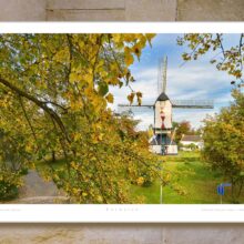 poster Standerdmolen | Molenstraat Rosmalen