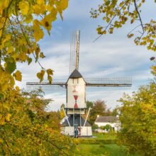 detail poster Standerdmolen | Molenstraat Rosmalen