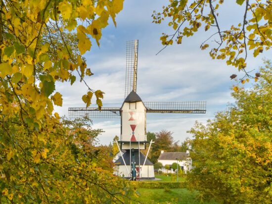 detail poster Standerdmolen | Molenstraat Rosmalen