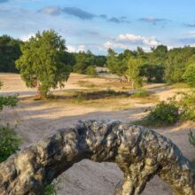 poster Wiel van Armando | zandverstuiving Rosmalen