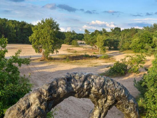 poster Wiel van Armando | zandverstuiving Rosmalen